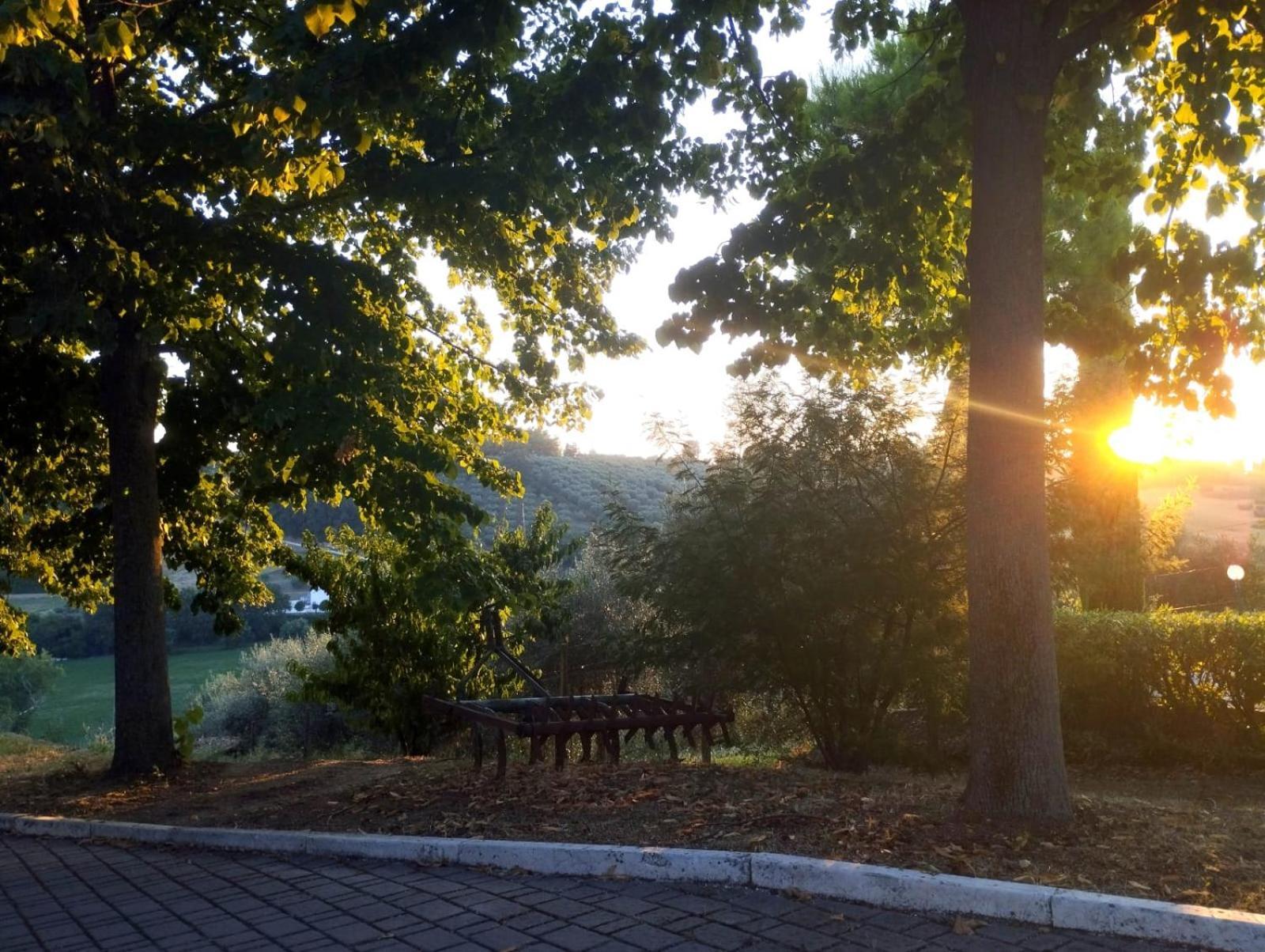 Il Mandorlo B&B Civitanova Alta Dış mekan fotoğraf